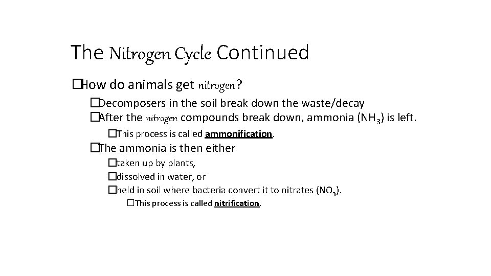 The Nitrogen Cycle Continued �How do animals get nitrogen? �Decomposers in the soil break