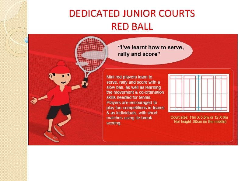 DEDICATED JUNIOR COURTS RED BALL 