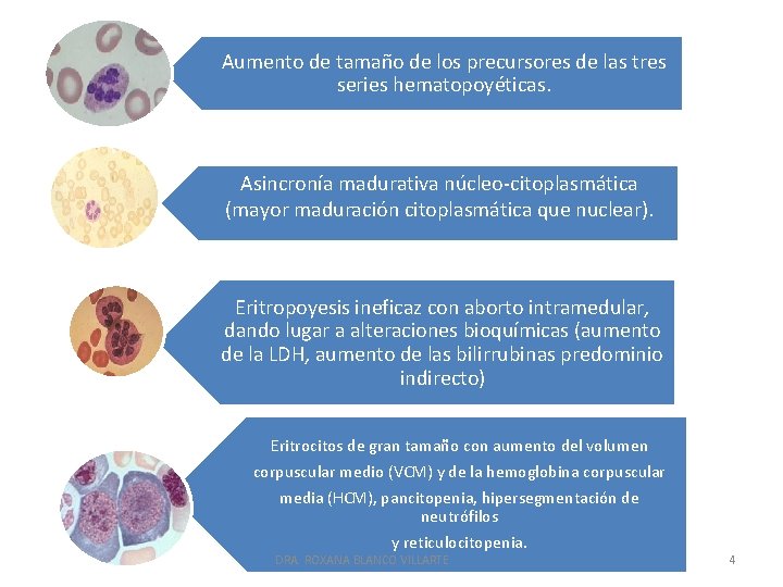 Aumento de tamaño de los precursores de las tres series hematopoyéticas. Asincronía madurativa núcleo-citoplasmática