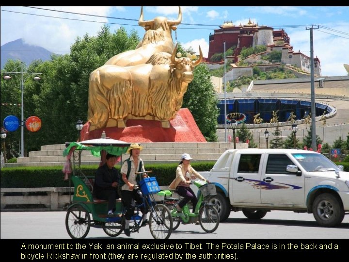 A monument to the Yak, an animal exclusive to Tibet. The Potala Palace is A monument to the Yak, an animal exclusive to Tibet. The Potala Palace is