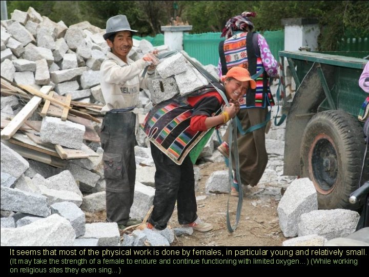 It seems that most of the physical work is done by females, in particular It seems that most of the physical work is done by females, in particular