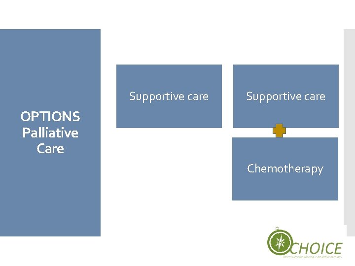 Supportive care OPTIONS Palliative Care Chemotherapy 