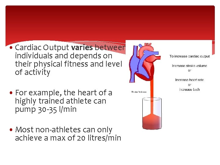  • Cardiac Output varies between individuals and depends on their physical fitness and