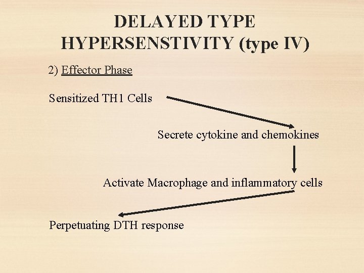 DELAYED TYPE HYPERSENSTIVITY (type IV) 2) Effector Phase Sensitized TH 1 Cells Secrete cytokine
