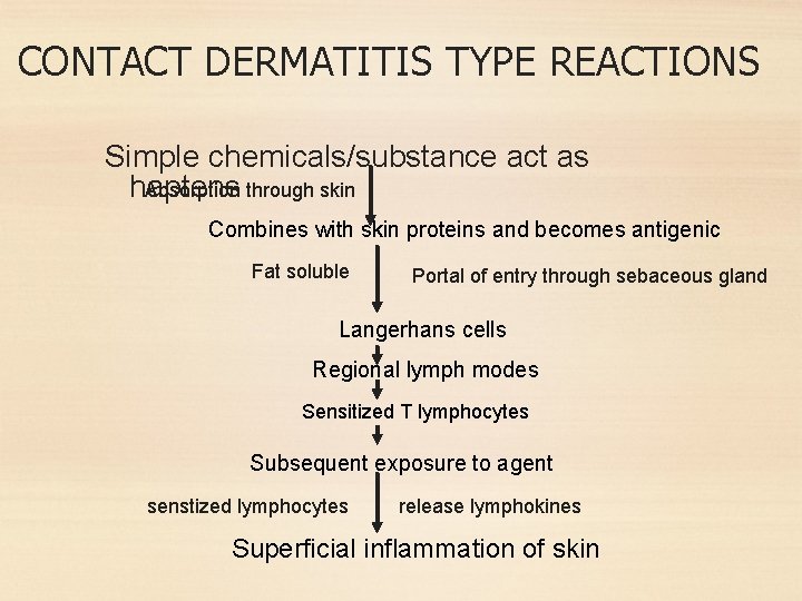 CONTACT DERMATITIS TYPE REACTIONS Simple chemicals/substance act as Absorption through skin haptens Combines with