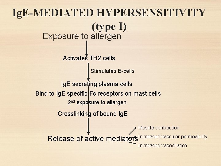 Ig. E-MEDIATED HYPERSENSITIVITY (type I) Exposure to allergen Activates TH 2 cells Stimulates B-cells