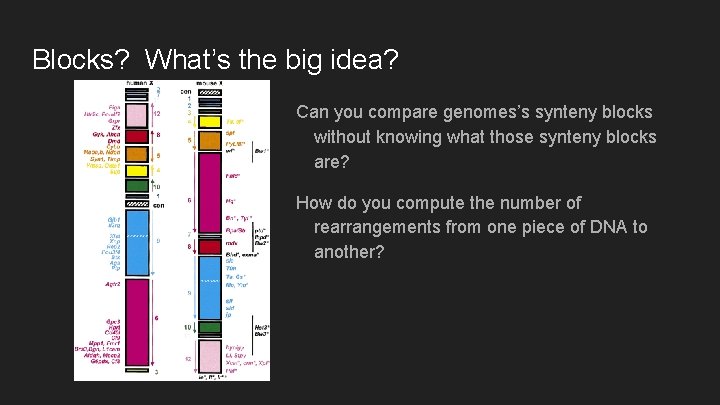 Blocks? What’s the big idea? Can you compare genomes’s synteny blocks without knowing what