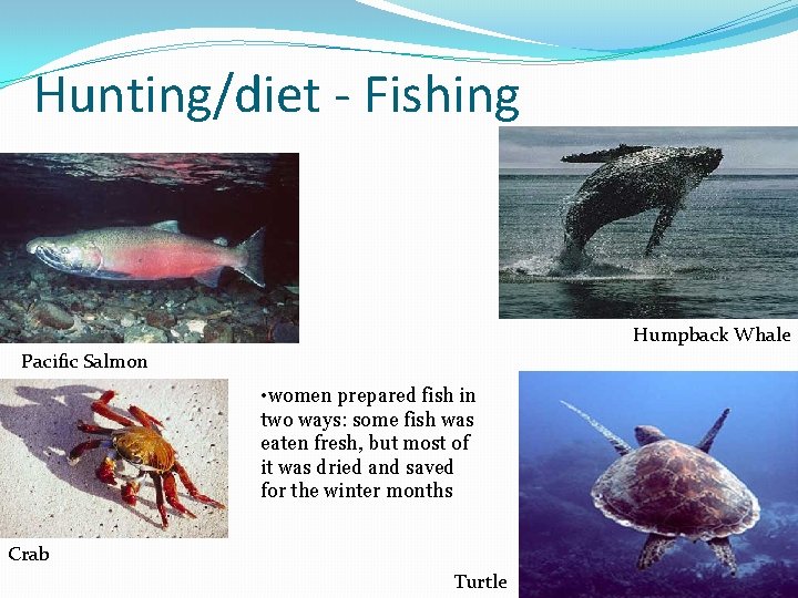 Hunting/diet - Fishing Humpback Whale Pacific Salmon • women prepared fish in two ways: