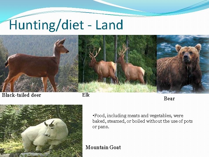 Hunting/diet - Land Black-tailed deer Elk Bear • Food, including meats and vegetables, were