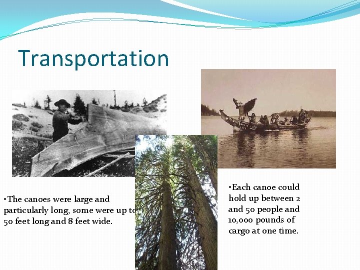 Transportation • The canoes were large and particularly long, some were up to 50