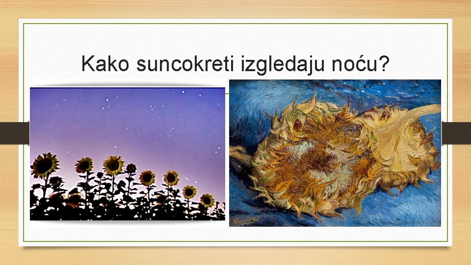 Kako suncokreti izgledaju noću? 