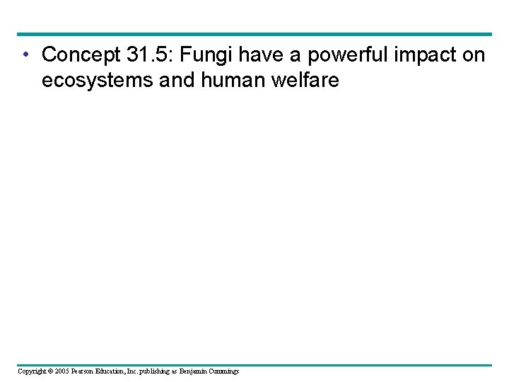  • Concept 31. 5: Fungi have a powerful impact on ecosystems and human