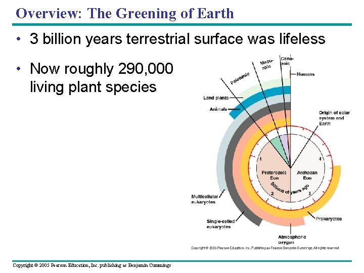 Overview: The Greening of Earth • 3 billion years terrestrial surface was lifeless •