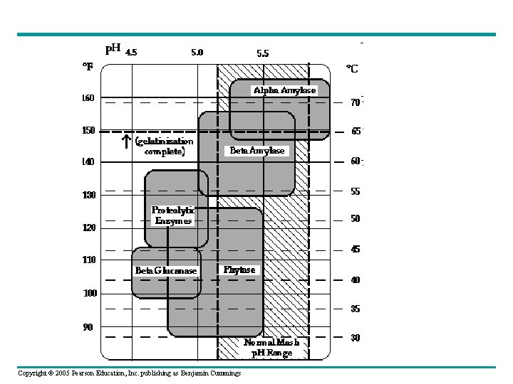 Copyright © 2005 Pearson Education, Inc. publishing as Benjamin Cummings 