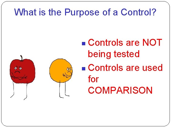 What is the Purpose of a Control? Controls are NOT being tested Controls are