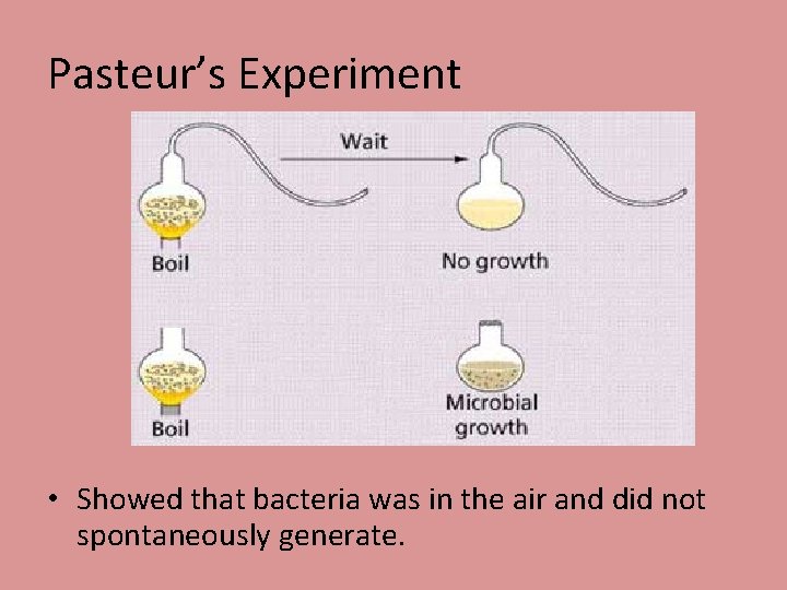 Pasteur’s Experiment • Showed that bacteria was in the air and did not spontaneously