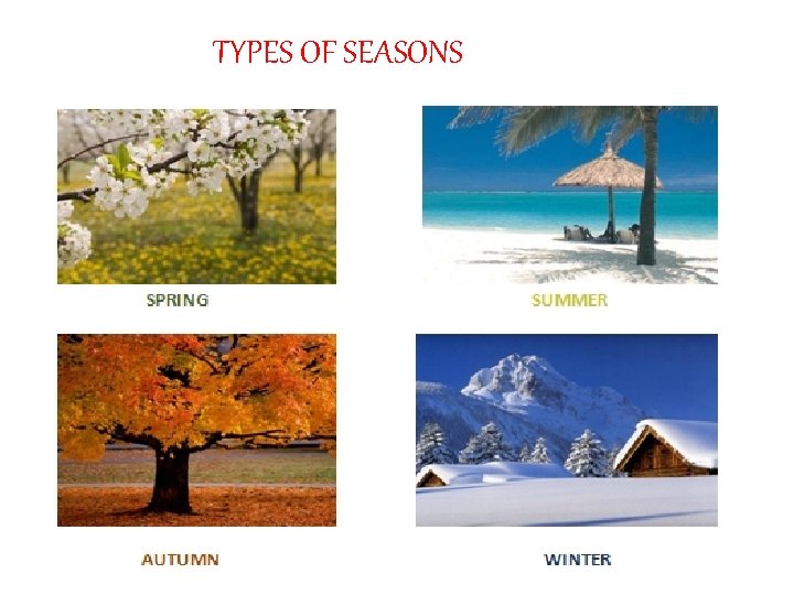 TYPES OF SEASONS 