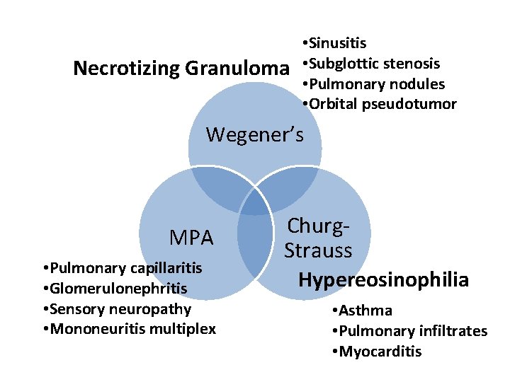 Necrotizing Granuloma • Sinusitis • Subglottic stenosis • Pulmonary nodules • Orbital pseudotumor Wegener’s