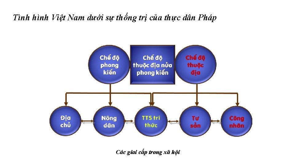 Tình hình Việt Nam dưới sự thống trị của thực dân Pháp Các giai