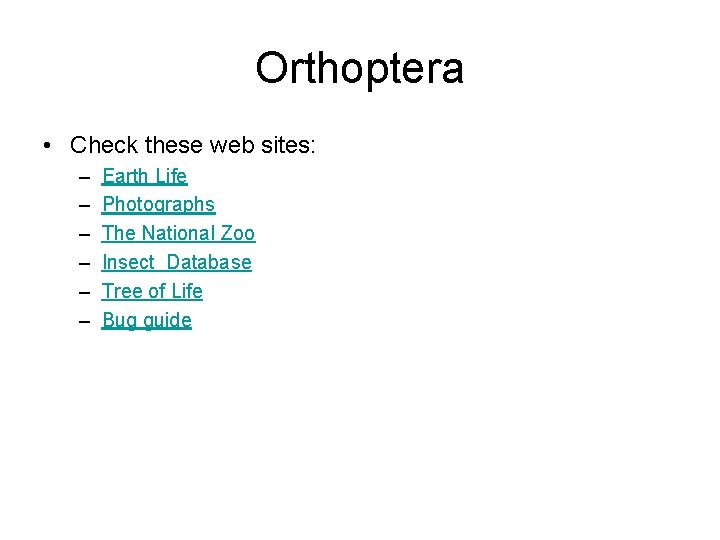 Orthoptera • Check these web sites: – – – Earth Life Photographs The National
