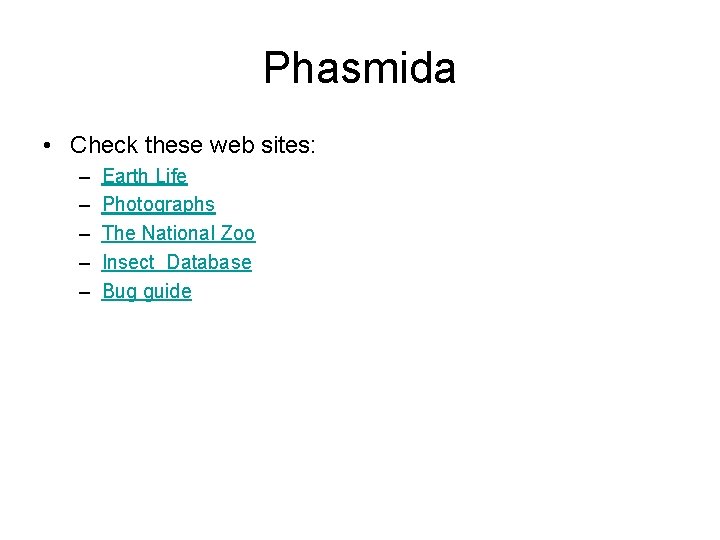 Phasmida • Check these web sites: – – – Earth Life Photographs The National