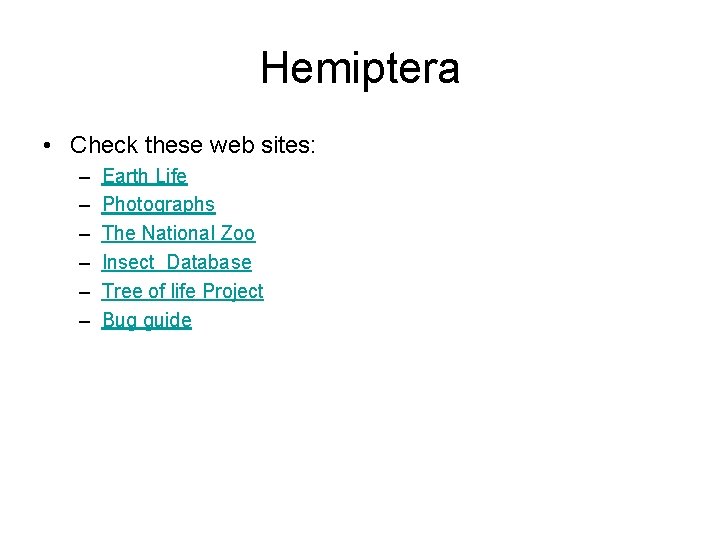 Hemiptera • Check these web sites: – – – Earth Life Photographs The National