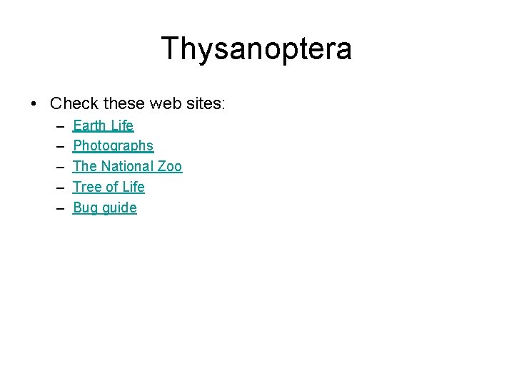 Thysanoptera • Check these web sites: – – – Earth Life Photographs The National