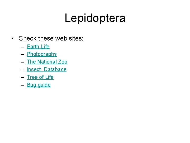 Lepidoptera • Check these web sites: – – – Earth Life Photographs The National