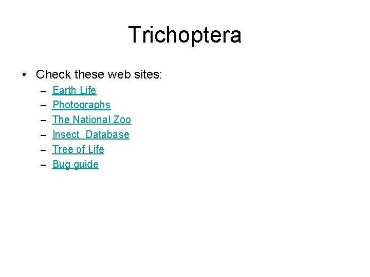 Trichoptera • Check these web sites: – – – Earth Life Photographs The National