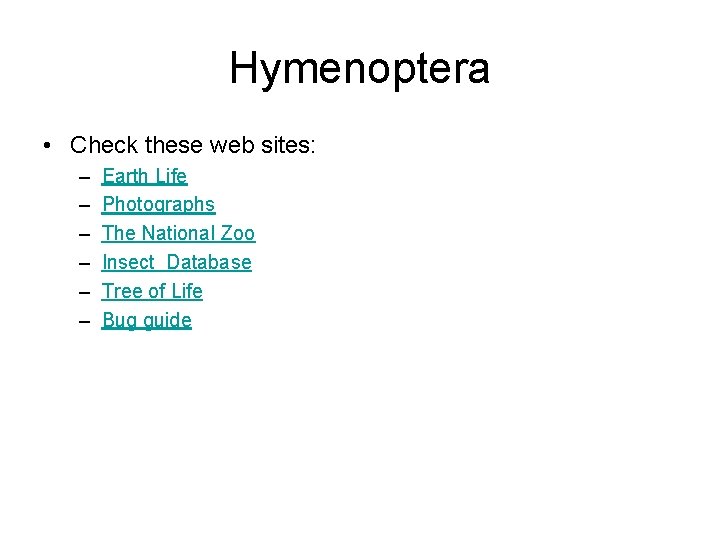Hymenoptera • Check these web sites: – – – Earth Life Photographs The National