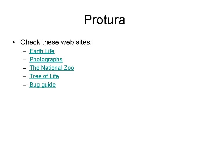 Protura • Check these web sites: – – – Earth Life Photographs The National