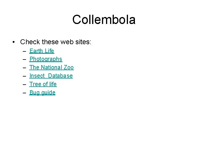 Collembola • Check these web sites: – – – Earth Life Photographs The National