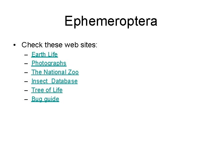 Ephemeroptera • Check these web sites: – – – Earth Life Photographs The National