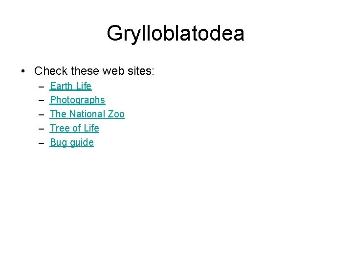 Grylloblatodea • Check these web sites: – – – Earth Life Photographs The National