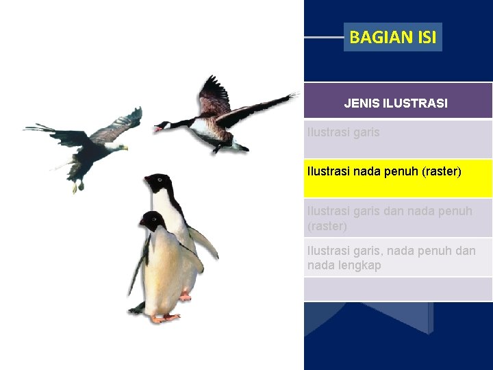 BAGIAN ISI Tipografi PENERBIT DUMM Y PENULIS No. Ilustrasi TINGKAT PENDIDIKAN JENIS ILUSTRASI belakang