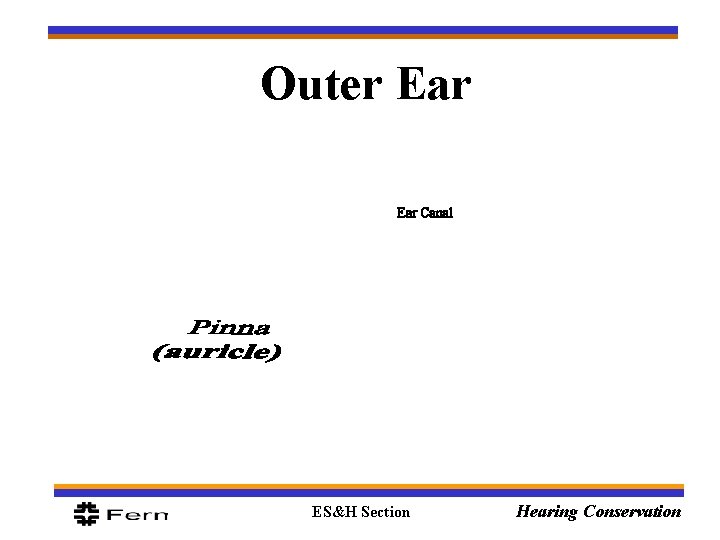 Outer Ear Canal ES&H Section Hearing Conservation 