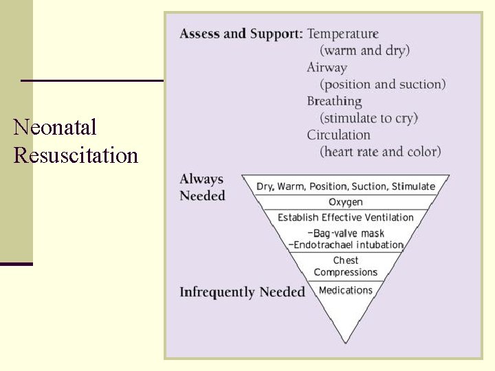 Neonatal Resuscitation 