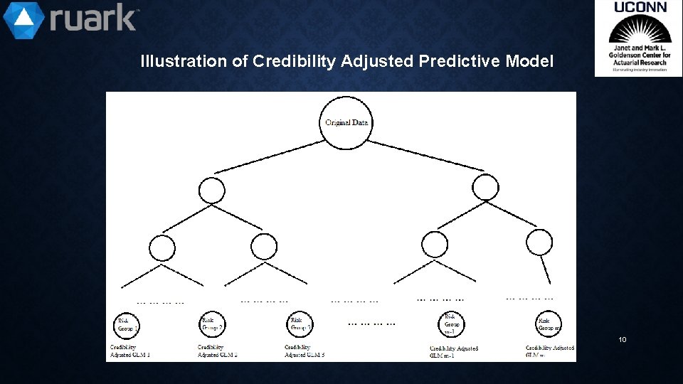 Illustration of Credibility Adjusted Predictive Model 10 