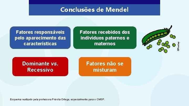 Hereditariedade e Mendel um pouco de histria Biologia