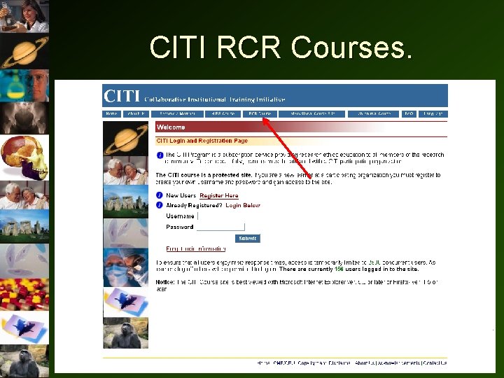 CITI RCR Courses. • CITI RCR COURSES – – Cover the 9 topic areas CITI RCR Courses. • CITI RCR COURSES – – Cover the 9 topic areas