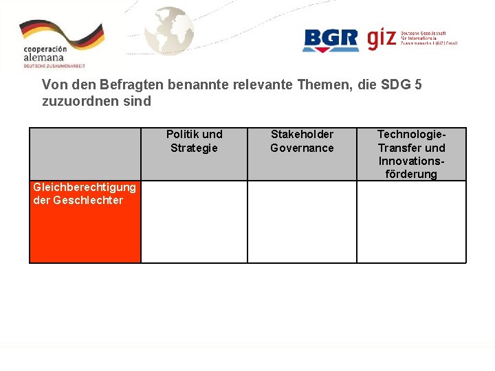 Von den Befragten benannte relevante Themen, die SDG 5 zuzuordnen sind Politik und Strategie