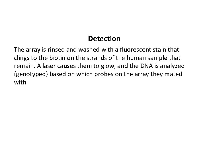Detection The array is rinsed and washed with a fluorescent stain that clings to