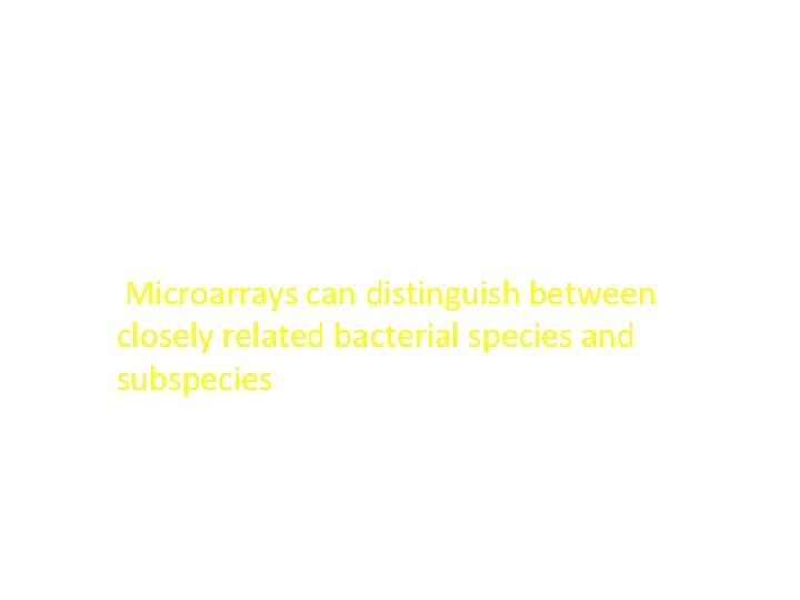 Microbial Strain Identification Microarrays can distinguish between closely related bacterial species and subspecies 