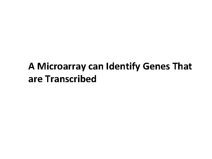 A Microarray can Identify Genes That are Transcribed 