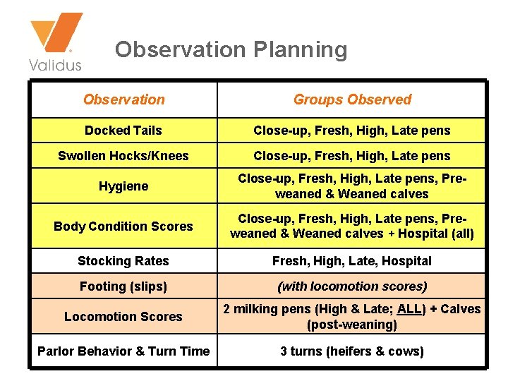Observation Planning Observation Groups Observed Docked Tails Close-up, Fresh, High, Late pens Swollen Hocks/Knees