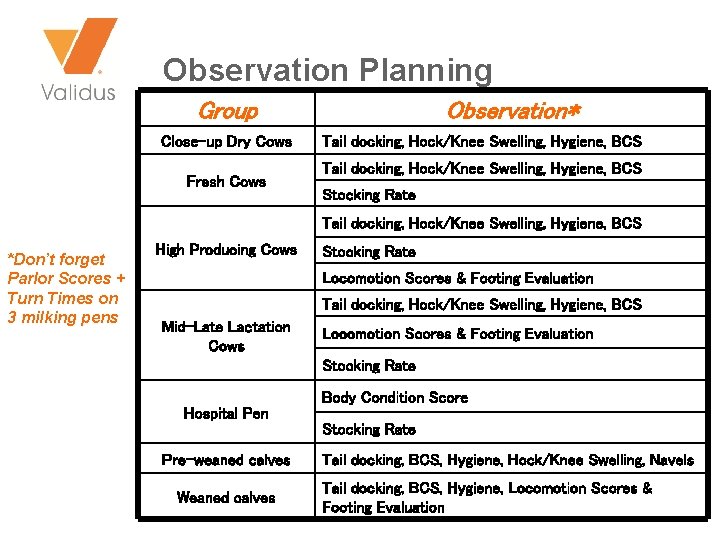 Observation Planning Group Close-up Dry Cows Fresh Cows Observation* Tail docking, Hock/Knee Swelling, Hygiene,