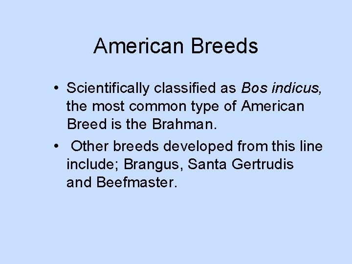 American Breeds • Scientifically classified as Bos indicus, the most common type of American