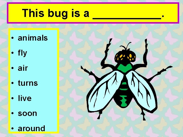 This bug is a ______. • animals • fly • air • turns •