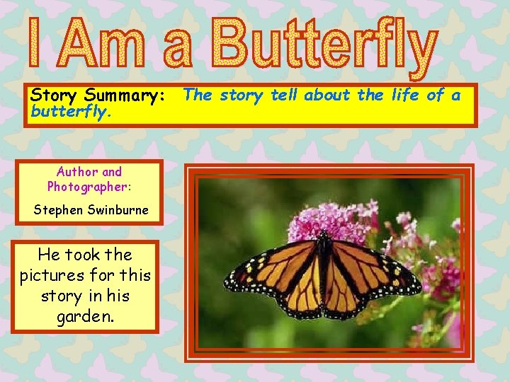 Story Summary: The story tell about the life of a butterfly. Author and Photographer: