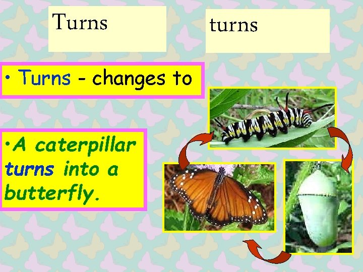 Turns • Turns - changes to • A caterpillar turns into a butterfly. turns